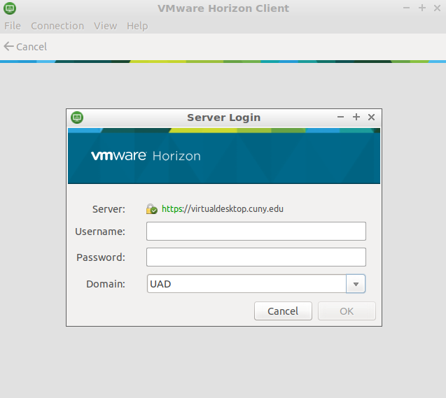 VMware Horizon Client